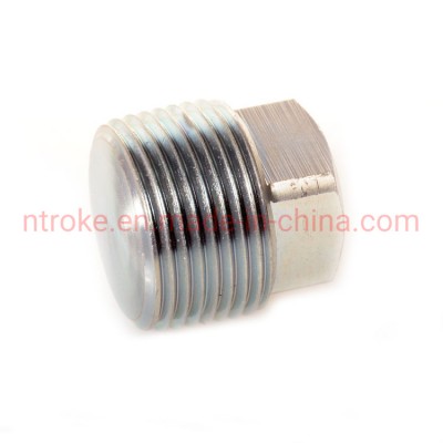 Galvanized Carbon Steel NPT/BSPT Male Thread Forged Square Plugs